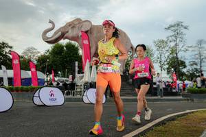 BIB: 
                            <button type="button" onclick="openModal(26528598)" class="btn btn-primary btn-sm float-right btn-popup" data-toggle="modal" data-target=".modal-high-quality">
                        <i class="fas fa-shopping-cart"></i> Add to Cart
                    </button>
                                            <button type="button" onclick="isThisMe(26528598, true)" class="btn btn-success btn-sm float-right btn-popup btn-isme hidden" data-toggle="tooltip" data-placement="bottom" title="นี่คือรูปของคุณใช่ไหม คลิกที่นี่เพื่อเอาเข้าอัลบั้ม">
                        <i class="fas fa-plus"></i> Add to album
                    </button>
                    <button type="button" onclick="isThisMe(26528598, false)" class="btn btn-warning btn-sm float-right btn-popup btn-isnotme hidden">
                        <i class="fas fa-ban"></i> Remove from album
                    </button>